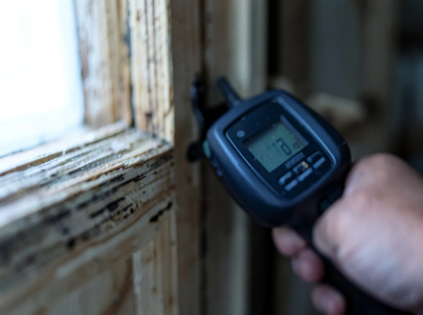 Moisture Inspection And Documentation in Andover, ME